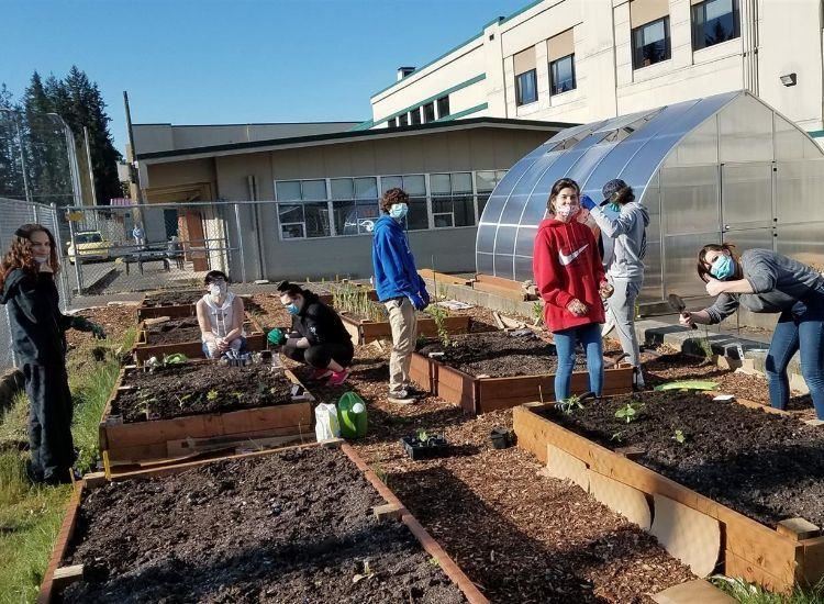 Picture of Crossroads students in the school garden Picture of Crossroads students in the school garden